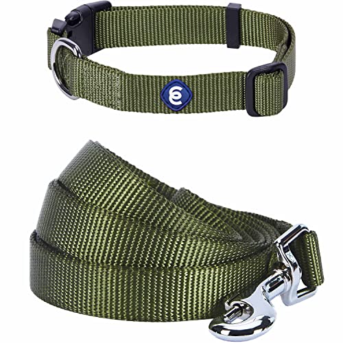 The Olive Green Dog Collar 6 Blueberry Pet Essentials Matching Dog Collar and Leash Set in ...
