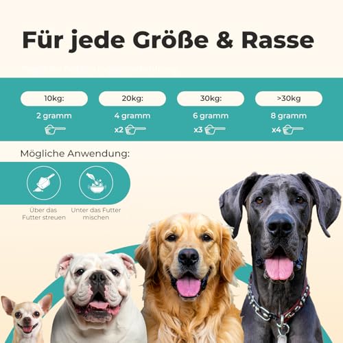 Probiotika Pulver für Hunde – paselo® Darmflora+ unterstützt Verdauung – 2 Stämme Probiotika & Präbiotika – ideal bei Sodbrennen beim Hund… – Ansicht 5
