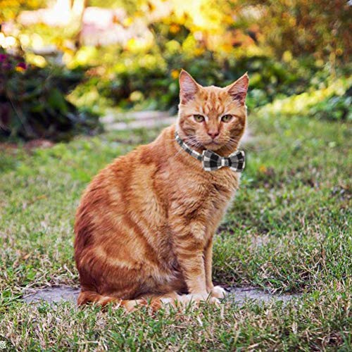 Image of Pets Empire Adjustable Dog Cat Collar with Bowtie, Safety Breakaway pet Collars for Cats Puppy and Small Dogs 1 Piece (Red) Adjustable from 8. 85-11 inch, 0. 4 inch in Width