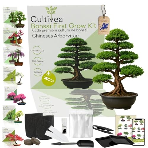 CULTIVEA Kit First Bonsai – Kit Completo con Semi, Accessori e Guida – Bonsai da Coltivare | Idea Regalo Originale (Chineses Arborvitae)