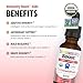 Dr. Green Mom Immunity Boost - Herbal Immune Support Supplement for Babies, Toddlers and Children - Liquid Drops with Organic Echinacea, Elderberry, Astragalus & Vitamin C