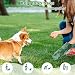 OIRLVCE 240 Hundekotbeutel, 24 Rollen, kernlose Hundekotbeutel, extra dick, stark, auslaufsicher, Grün