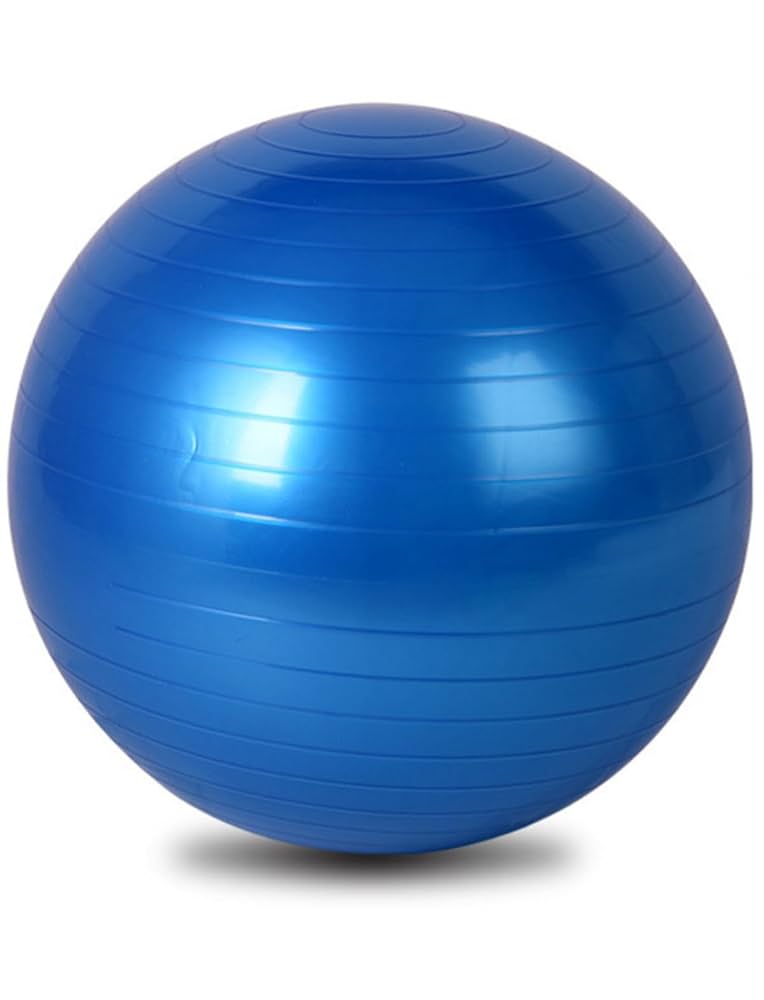 バランスボール 55センチ 4個 空気入れ2個付 楽天市場】【マラソンMAX1000円OFFクーポン】バランスボール