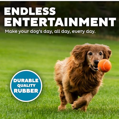 Outward Hound Squeaker Ballz – Squeaky Tennis Balls for Dogs 50 lbs and Over, Interactive Dog Toy for Fetch & Training, Large (3"), 4-Pack by Outward Hound - Image 4