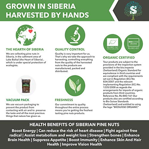 Unpeeled Organic Pine Nuts in Shell from Siberia, Premium Quality 1000gr/35.3oz/2.2lb by Siberian Green Food, European organic certificate …