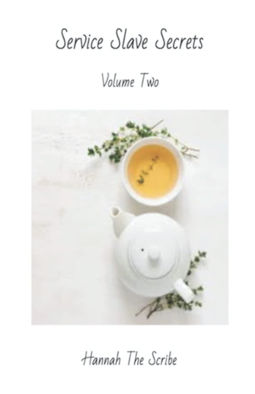 Service Slave Secrets: Volume Two
