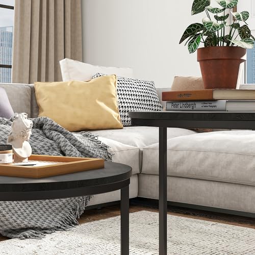 BOFENG Conjunto de 2 mesas de centro redondas industriais para sala de estar, quarto, escritório, me