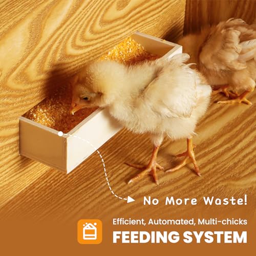 Proshine Chocadeira para pintinhos, chocadeira de frango com sistema de alimentação e irrigação, des