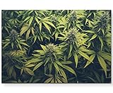 Leicht und einfach aufzuhängen, so ist Ihr Finartprint bereit dafür, einen Touch von Eleganz und Stil in Ihren Wohn- oder Bürobereich zu bringen. SINUS ART das steht für exklusive Motive, hochwertige Druckqualität und Top-Service.