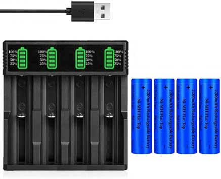 4 Pack 2200 mAh Ni-MH Flat Top Battery with 4-Slot USB Battery Charger, Batteries Rechargeable Large Capacity for LED Flashlight/Camera/Small Fan/Garden Light
