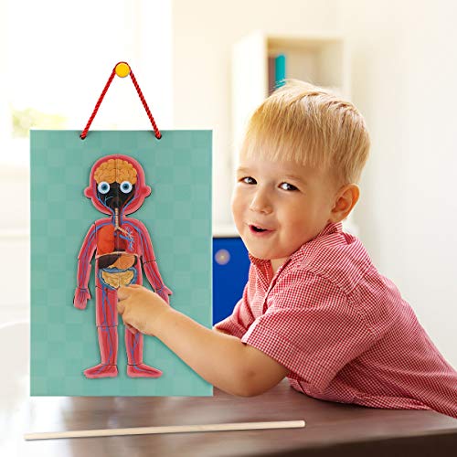 Human Body Puzzle For Kids Toddlers 90Pcs Magnetic Boy Girl Anatomy Play Set Body Parts Organs Muscles Skeleton And Bones Wooden Puzzle Toys For Kids Aged 3+ Educational Learning Preschool Toys #TOP3