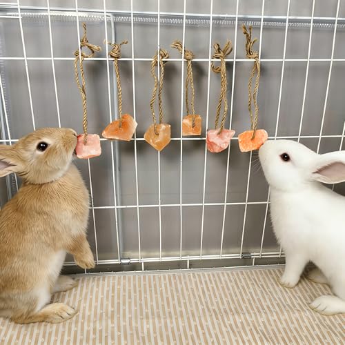 Pierre à lécher rongeur et bloc de sel minéral pour chinchilla Hamiledyi