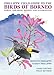 Produktbild Phillipps' Field Guide to the Birds of Borneo: Sabah, Sarawak, Brunei, and Kalimantan - Fully Revised Third Edition (Princeton Field Guides)