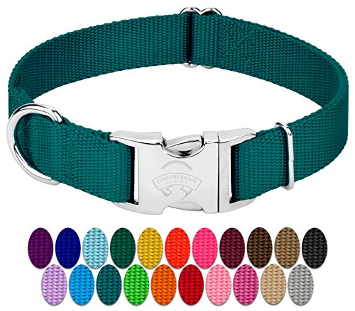 Country Brook Petz - Premium Nylon Dog Collar with Metal Buckle - Vibrant