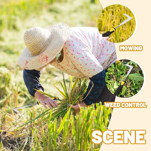 Manual Crack Weeder Zerodeko con Mango Amarillo miniatura 4