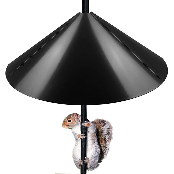 Buy Queension Squirrel Proof Baffle, 19inch Wide Squirrel Guard