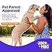 Jack & Milo Dog and Puppy Pads - Leak-Proof and Quick-Dry Surface- Regular Size -40 Units