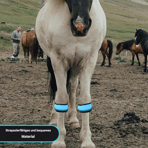 Generisch Pferdebeinbänder - 4 Stück Zubehör Für Tiere Mit Hoher Sichtbarkeit | LED Beleuchtung Pferdeknöchelriemen,Für Das Reiten Bei Nacht, Paraden, Farmen, Ranches, Ställe, Zirkus Und