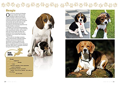 A Enciclopédia Ilustrada de Raças de Cães (Coleção completa - 7 livros): Um guia visual de A a Z com