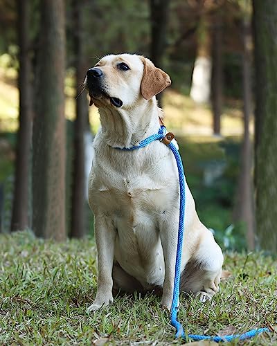 lynxking Schleppleine für Hunde Hundeleine Retrieverleine Führleine Zugleine für kleine mittelgroße große Hunde (Orange, Zugstopp-1.3cm x 180cm)