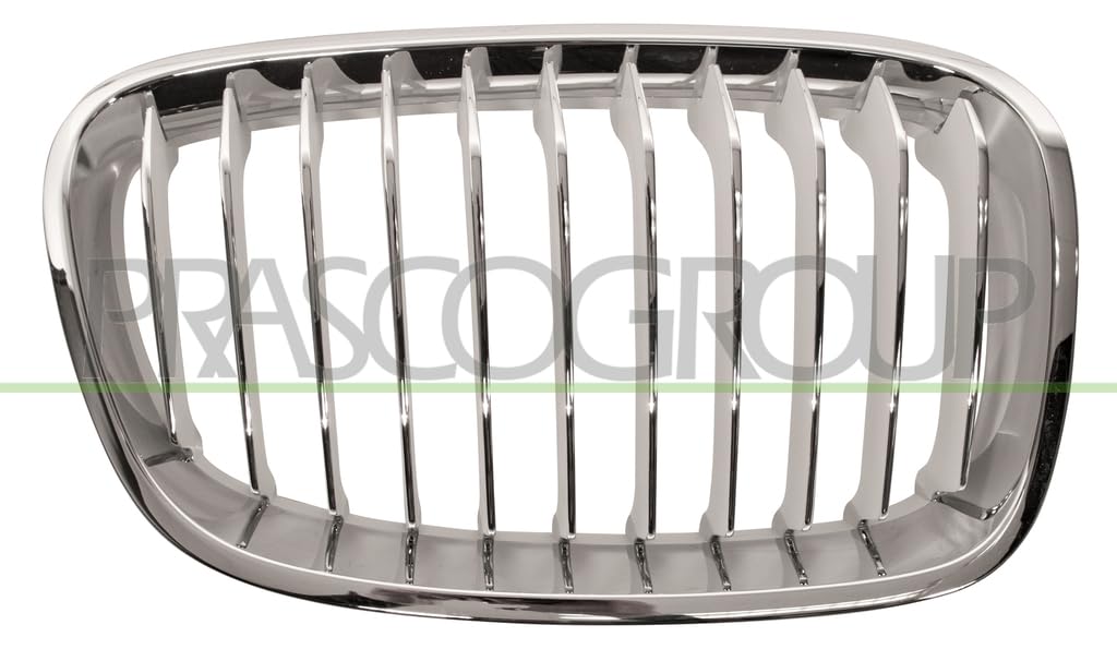 Prasco Kühlergitter [Hersteller-Nr. BM1232013] für BMW