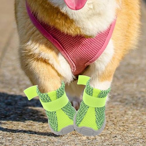 Chaussures pour chiots et petits chiens balades extérieur