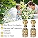 LIKAGE Brass Hose Quick Connect, 3/4 Inch GHT Thread Garden Hose Quick Connector No-Leak Water Hose Quick Connect Fittings Male and Female - 2Packs