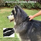 Taktisches Hundehalsband, Verstellbare Halsband Mit Kontrollgriff Weich Gepolstertes Nylon Hunde Halsband mit robuster Metallschnalle für Mittlere Große Hunde