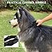 Taktisches Hundehalsband, Verstellbare Halsband Mit Kontrollgriff Weich Gepolstertes Nylon Hunde Halsband mit robuster Metallschnalle für Mittlere Große Hunde
