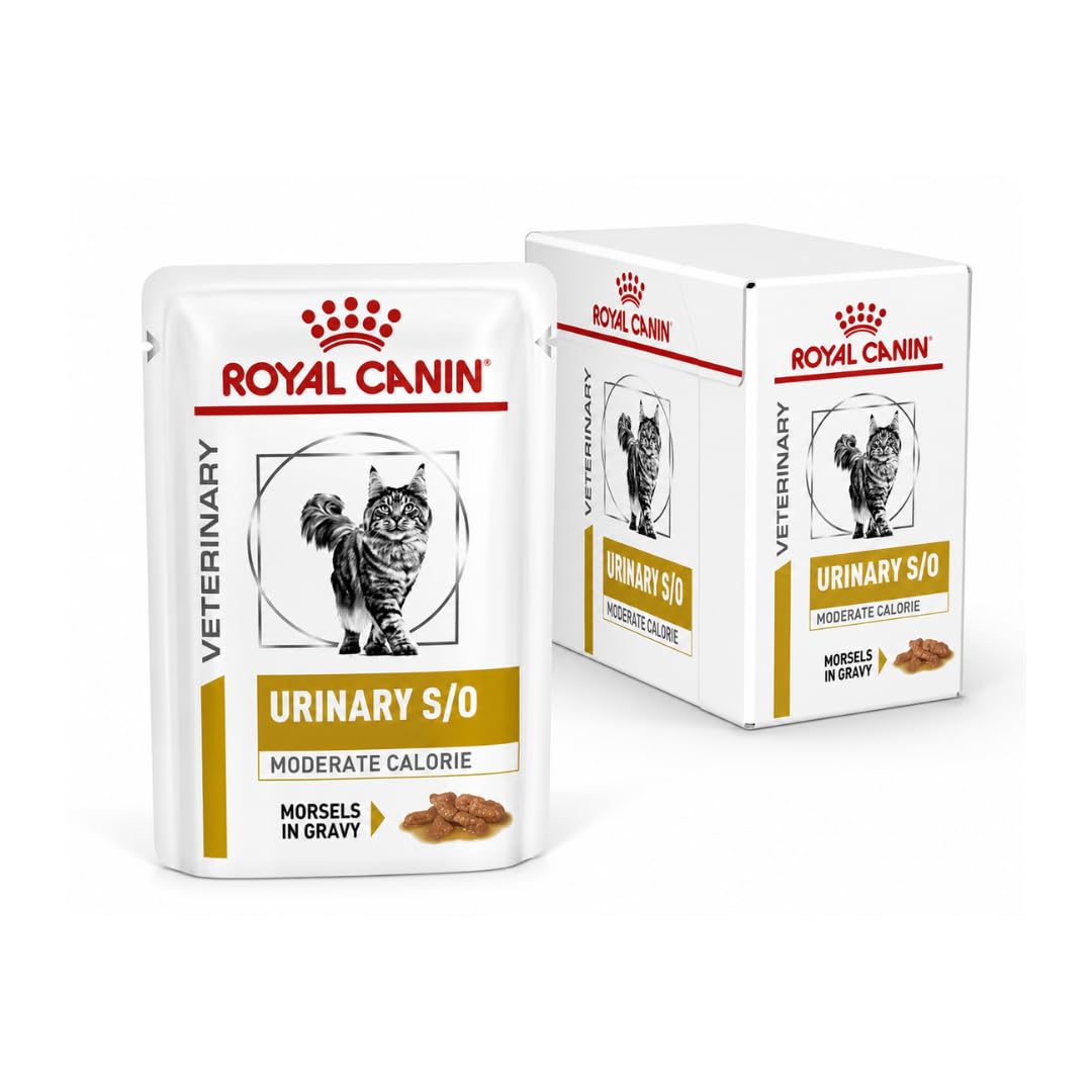 Royal Canin Veterinary S/​O | 12 x 85 g | Alimento dietetico completo per gatti | Per sciogliere i calcoli di struvite | A basso RSS | Bocconcini in salsa