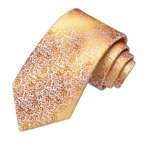 Image of Hi-Tie Mens Paisley Floral Striped Ties Set Silk Necktie and Lapel Pin for Men Pocket Square Cufflinks Set Business Wedding