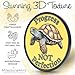 MilestoneMint Affirmation Sobriety Coin | Inspirational AA Chip Medallion | Perfect Sobriety Gifts for Sober Men & Women in Recovery | Sober Gifts for Anniversary, Month or Year | 3D Turtle Design