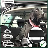 Speedwellstar B0CVQQY5HP lato 3