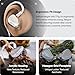 Linsoul Kiwi Ears Orchestra II 10BA Professional in-Ear Monitor, HiFi Wired IEM Earbuds with Superlative Tonal Balance, Handcrafts Shell for All Individuals and Music Genres (Silver)