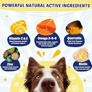 Omega 3 for Dogs with Salmon Oil, 120 Chewable Fish Oil for Dogs Skin and Coat – Dog Allergy Relief, Hot Spot Treatment, Anti Shedding, Hip & Joint Support with EPA & DHA, Biotin, Vitamin E