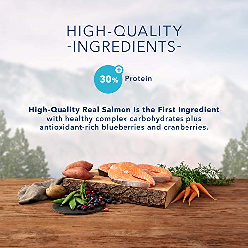 Blue-Buffalo-Wilderness-High-Protein-Natural-Adult-Dry-Cat-Food-Salmon-11-lb