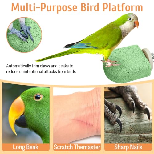 Image of PINVNBY 4 PCS Bird Perch Stands Parrot Calcium Perch Beak Grinding Stone Foot Claws Trimmer Parakeet Platform Parrot Chewing Toys for Small Medium Cockatiel Conure Lovebird Finch(Green)