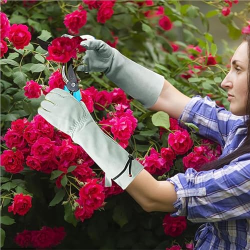 Guantes largos de corte para cosechar rosas y cuidar la terraza 3