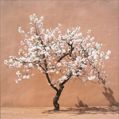 Foto von NeoOrganic® Bio Mandelöl (Prunus Amygdalus Dulcis) - für Massagen oder in den Haaransatz, geeignet für die Pflege zarter Babyhaut (Babyöl) - 100% naturreines schonend kaltgepresstes Bio Öl - 100 ml