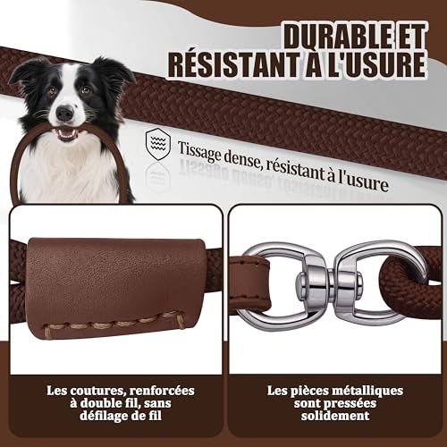 Hundeleine mit Zugstopp & Halsband, 150 cm Trainingsleine aus robustem Nylonseil, Slip Lead Leine mit Ledergriff & Metallringen, verstellbar für Mittelgroße & Große Hunde - Dunkelbraun