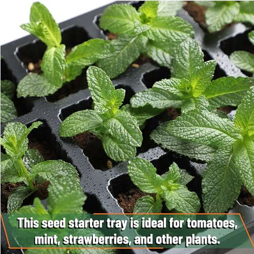 Mr. Pen- Seed Starter Tray Kits, 10 Pack, Total 400 Cells, Durable Plant Germination Trays with Humidity Vented Domes and Bases, Ideal for Seed Starting, Indoor Gardening and Greenhouse - Image 6