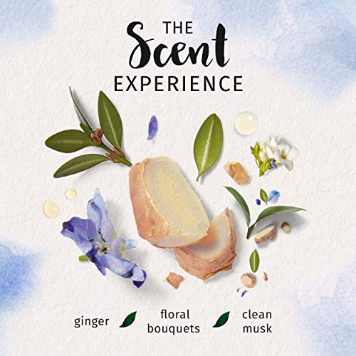 Herbal Essences Bio, Refresh Blue Ginger & Micellar Water Shampoo, 13.5 Ounce #TOP5