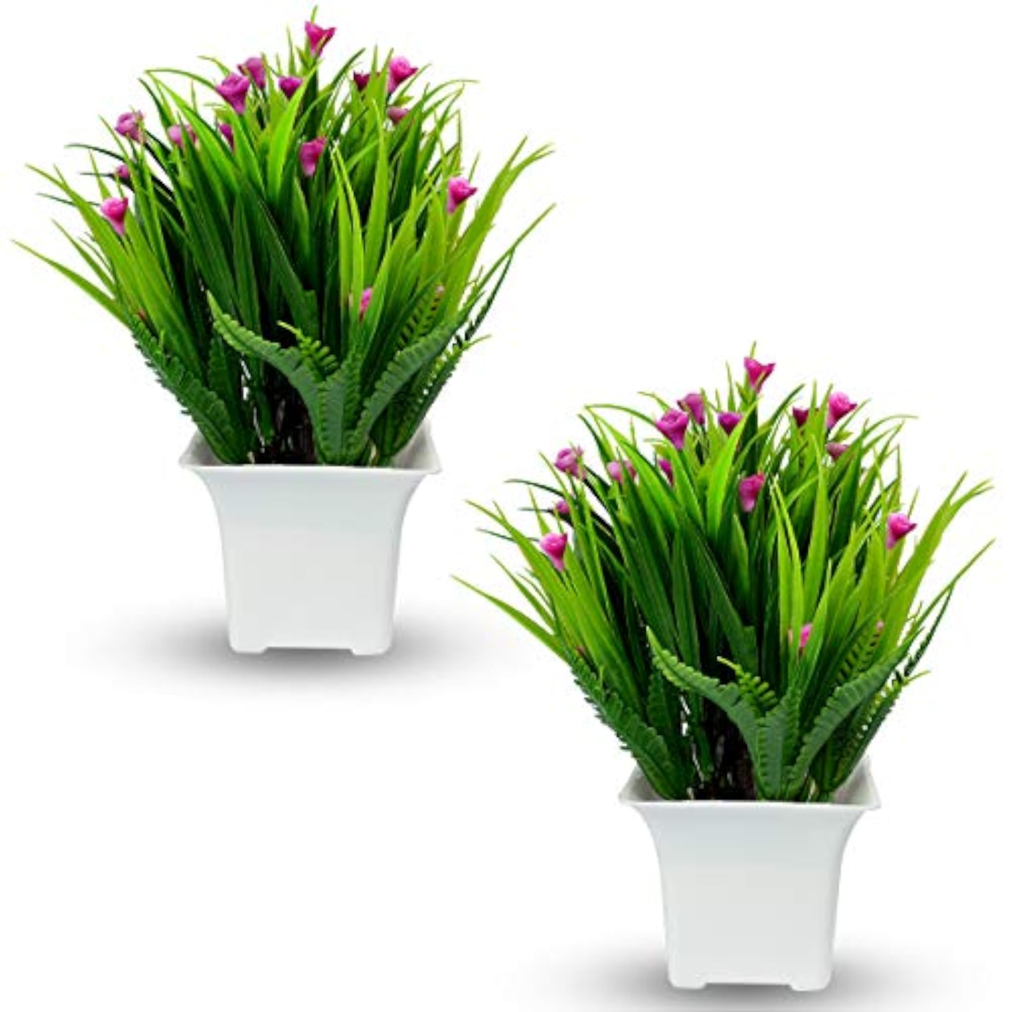 Bonsai Plants for Home Indoor Decor with Pot