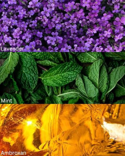 Image of TOXICMALE Di0r HI + Lu*na rossa Perfect Long lasting Men's perfume for Party & special occasion | perfumes for men | Gift for him | TMA02 | 50 ml perfume | TM Perfume House