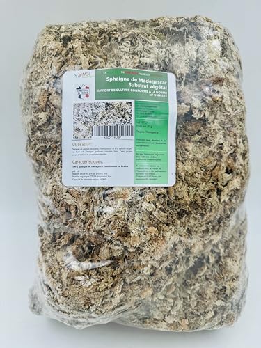 MGI DEVELOPPEMENT Sphagnum Moss - Sustrato para plantas hidropónicas, 1 kg, ideal para orquídeas, trasplante y propagación