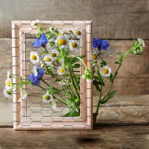 Miuwauer Arame de Frango 16,9