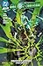 Green Lantern: Bd. 5 (3. Serie): Zwischen Himmel und Hölle