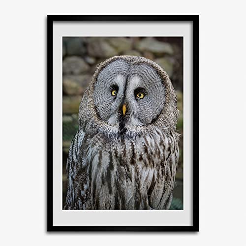 Cadre en bois décoratif hibou 50x70 cm Tulup finition moderne MDF
