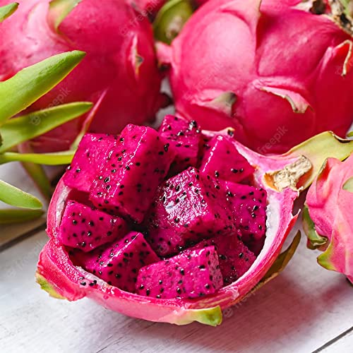 Qauzuy Garden 200 Mixed Dragon Fruit Seeds Pitahaya Pitaya Strawberry Pear Seeds, Non-Gmo Heirloom Fruit Seeds, Highly Nutritious & Easy To Grow #TOP4