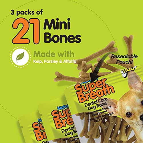NATURALS Super Breath Dental Care Bones for Dogs – 21 Treats/Pack (3 Pack) – Dog Dental Treats for Small Dogs, Made in USA, Dog Dental Chews Help Reduce Plaque, Tartar Buildup & Freshens Breath NATURALS Super Breath Dental Care Bones for Dogs – 21 Treats/Pack (3 Pack) – Dog Dental Treats for Small Dogs, Made in USA, Dog Dental Chews Help Reduce Plaque, Tartar Buildup & Freshens Breath